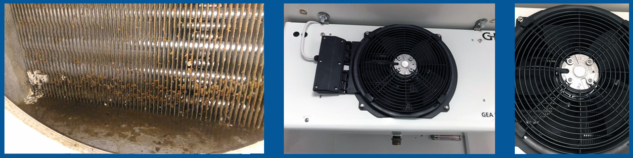Ventilator Reinigung